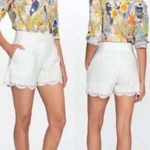 J. Mclaughlin White Pineapple Motif Eyelet Shorts Scalloped Hem High-Waist  6